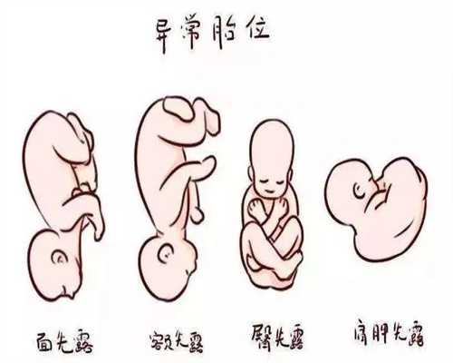 上海代妈价格`上海代孕试管供卵`上海试管代孕双胞胎费用