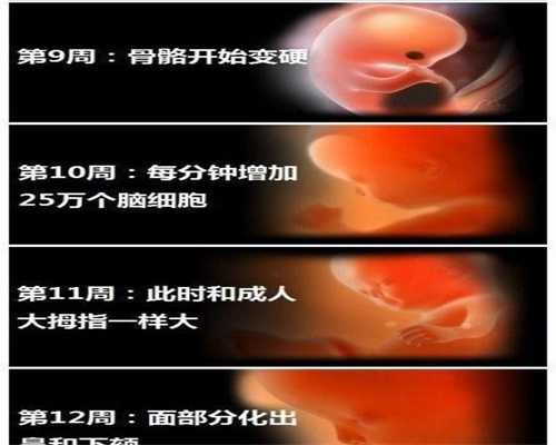 上海代孕产子,上海代孕产子合法么,上海借卵子生子的费用是多少