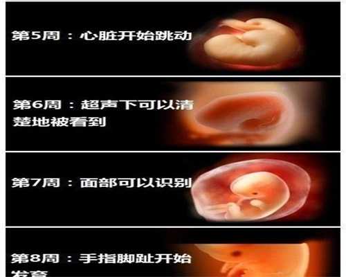 上海供卵代孕,上海法律能代孕吗,上海代怀孩子需要多少钱