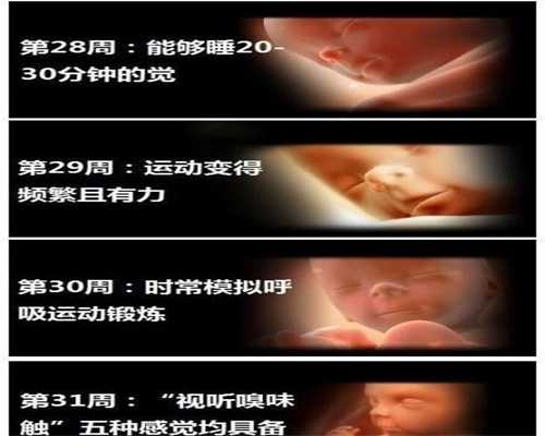 上海代孕妈妈`有没有上海代孕医院`上海供卵助孕包成功价格