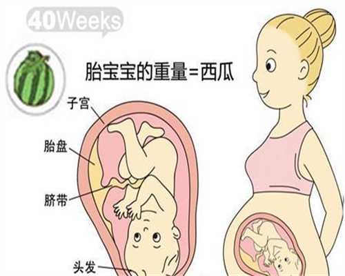 上海代孕集团_上海代孕医院费用_上海哪里有供卵试管机构
