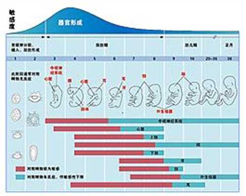 上海代孕医院,上海供卵借腹代孕生,上海代孕生子需要多少费用