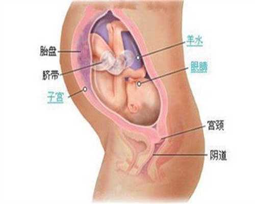 上海代孕中心，上海代孕公司可靠不，上海直接亲属可以代孕吗