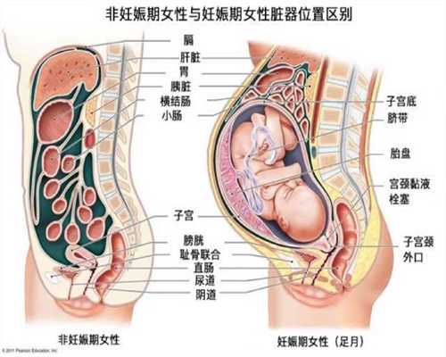 上海代孕费用-上海代怀孕在哪里-找个农村女人上海代孕需要多少钱