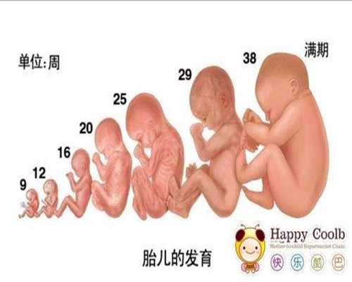 上海正规代孕_上海高鹰代孕价格表_上海代孕中心客服电话