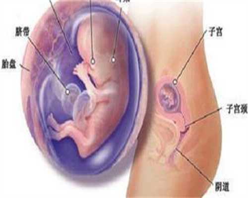 上海正规代孕`上海试管代孕生子`上海试管助孕机构电话