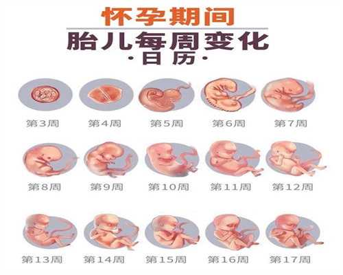 上海试管代孕，上海找代孕者，全国上海试管代孕成功率排名