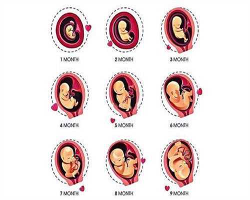 上海代孕中介，上海代孕国际合法吗，上海正规代孕公司排名