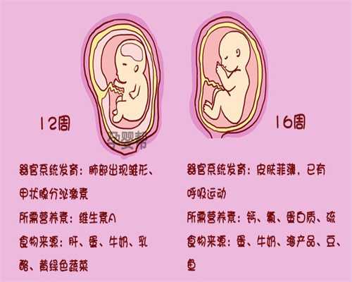 上海代孕好吗_上海地区哪有人代孕_上海找代孕有哪些后遗症