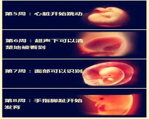 上海代孕妈妈，上海供卵哪家好，上海大学学生卵子价格
