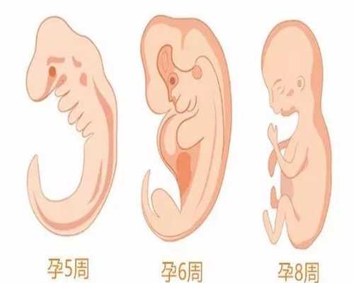 上海代孕套餐，有上海助孕服务吗，上海借卵代孕生子要准备多少钱