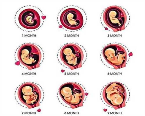 上海代孕生子`上海代怀男宝宝`合法上海供卵试管中心