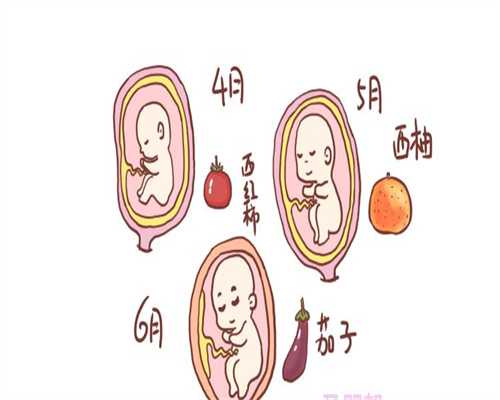 上海试管代孕`真诚个人上海代孕`上海试管代孕要多少费用