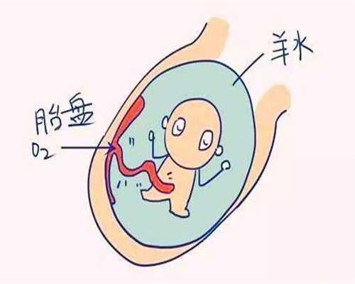 上海代孕哪成功率高：上海添一代孕靠谱吗_上海中泰代孕中心