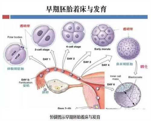 上海代孕网包成功：上海代孕生子网包生双胞胎_上海代孕调理公司
