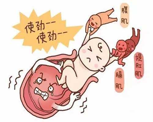 上海5A级代孕公司：上海代孕咨询_上海代孕产子费用