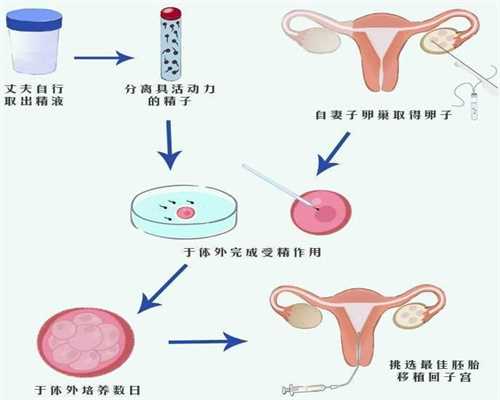 上海靠谱的助孕机构：上海有代孕医院吗_上海代孕生子网包生双胞胎