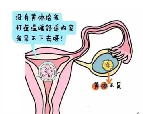 上海代怀孕多少钱：上海添禧代孕中介_上海世纪代孕成功率高
