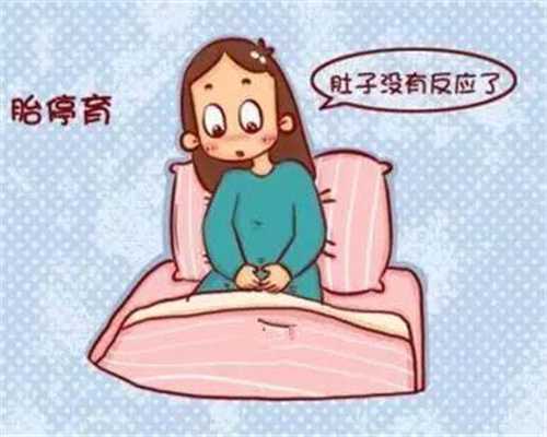 上海找个正规代孕医院：上海梦缘代孕生殖中心包成功套餐_上海有代孕公司号