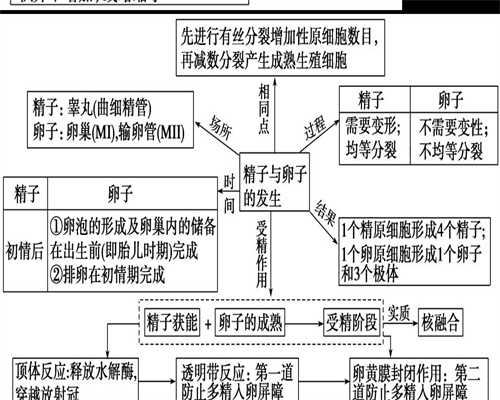 上海代孕的医院：上海代孕联系方式_上海梦缘代孕生殖中心联系方式