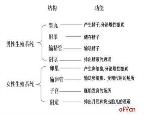 上海最大代孕公司：上海哪有代孕公司_上海代孕公司哪里成功率高