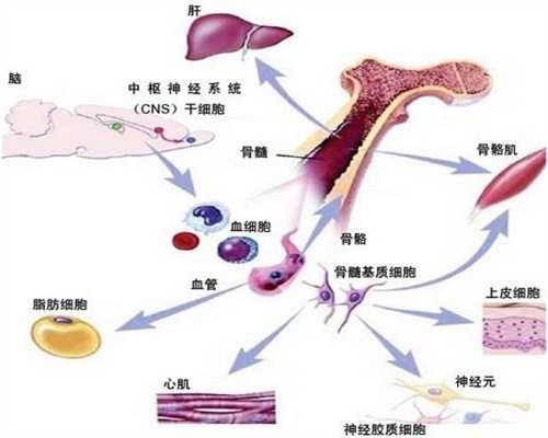上海代孕哪家专业：上海世纪代孕代孕包成功_上海世纪代孕生殖医疗