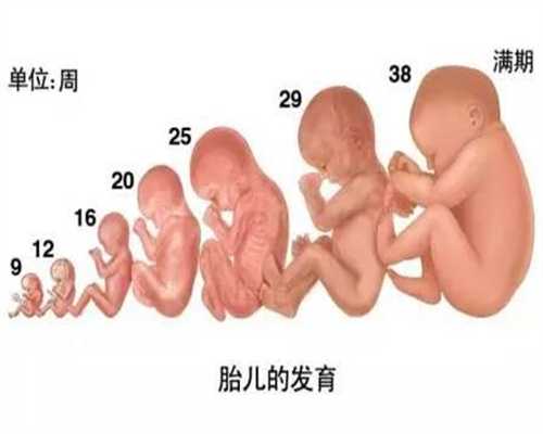 上海代孕孩子的地方：上海宝佳代孕微信_上海世纪代孕嘉定支部