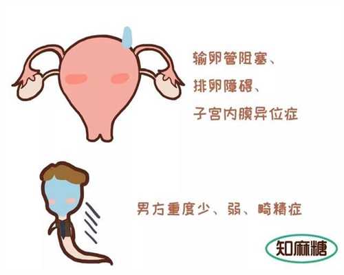 上海三代试管供卵助孕费用-代孕机构代孕过程_泰国试管婴儿冷冻胚胎移植是怎